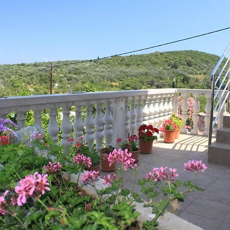 With A Parking Space Zman, Dugi Otok - 8133 Apartman Žman